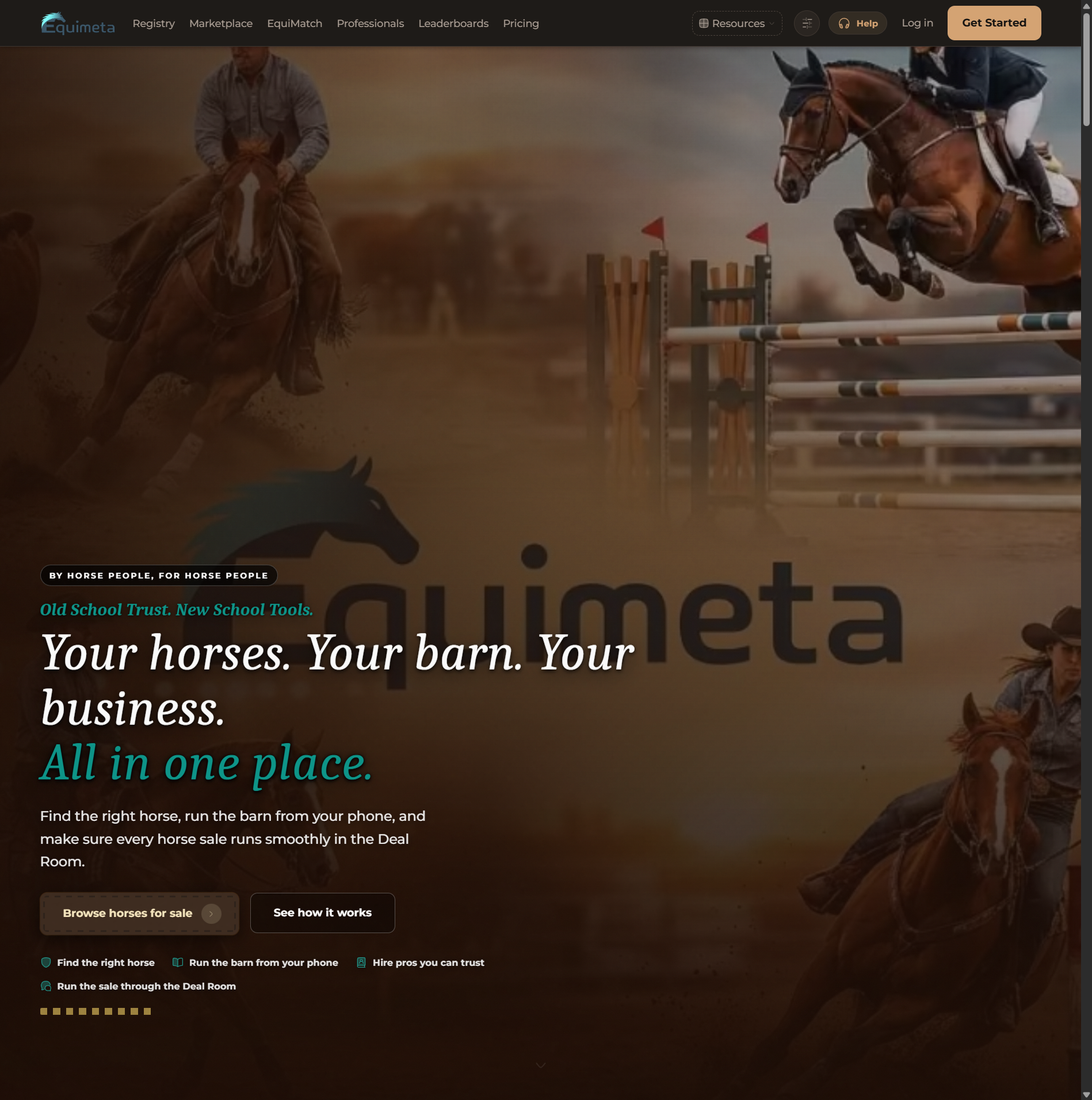 Equimeta homepage screenshot